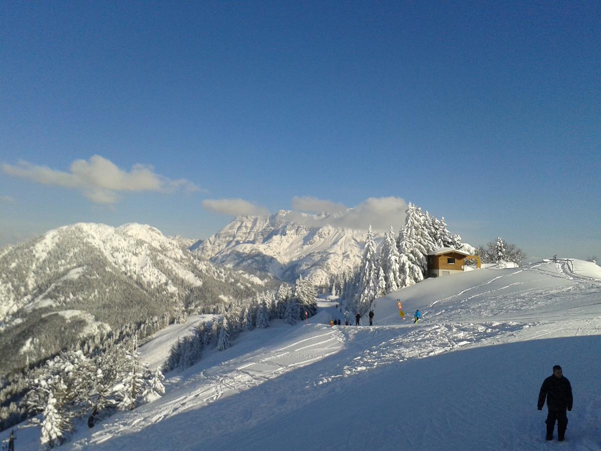 Trixlhof Bed & Breakfast Sankt Ulrich am Pillersee ภายนอก รูปภาพ